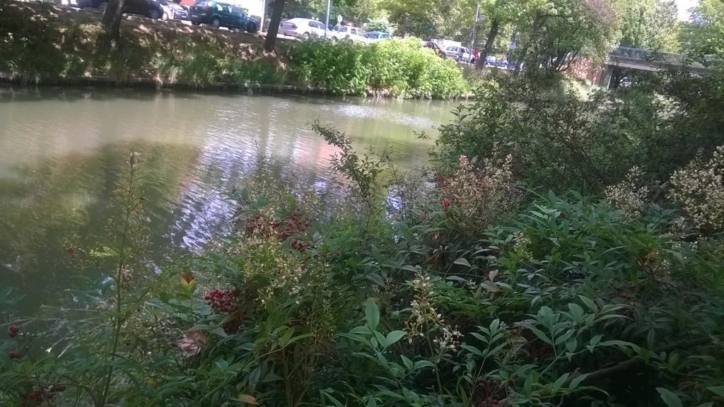 Appartement Matabiau Toulouse Rom bilde